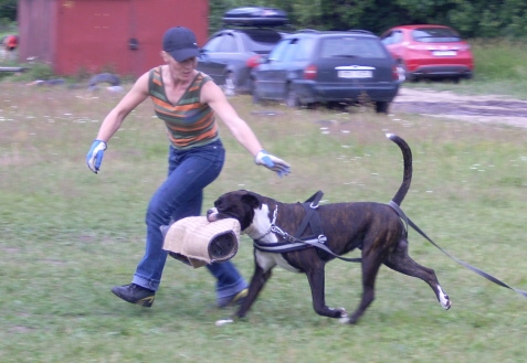 Training in Estonia 6/2007